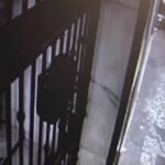 crédito: Reprodução