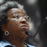 Macaé Evaristo (Foto: Elizabete Guimarães/Assembleia Legislativa de Minas Gerais)