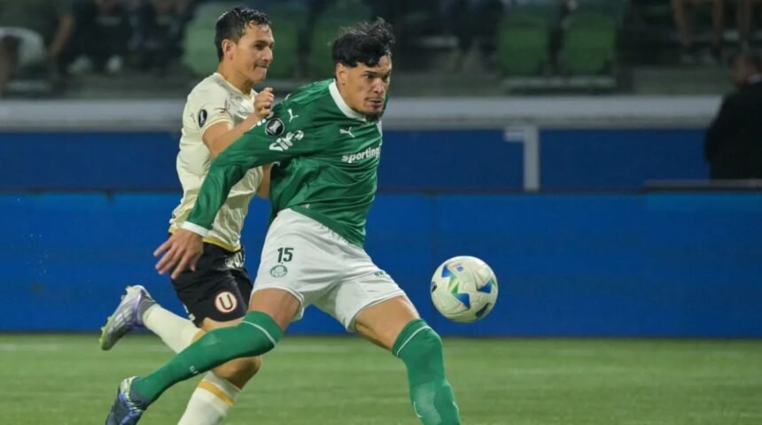 Reprodução/X/Libertadores