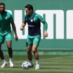 Cesar Greco/Palmeiras