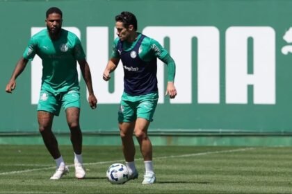 Cesar Greco/Palmeiras